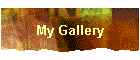 My Gallery